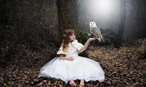 Совы с девушками