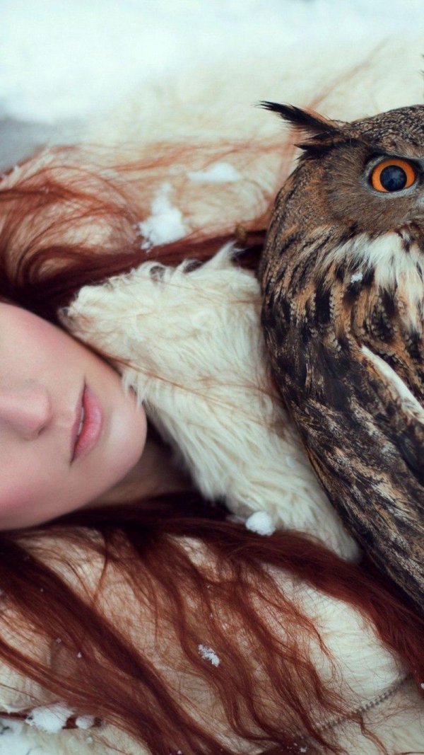 Совы с девушками