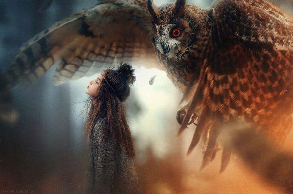 Совы с девушками
