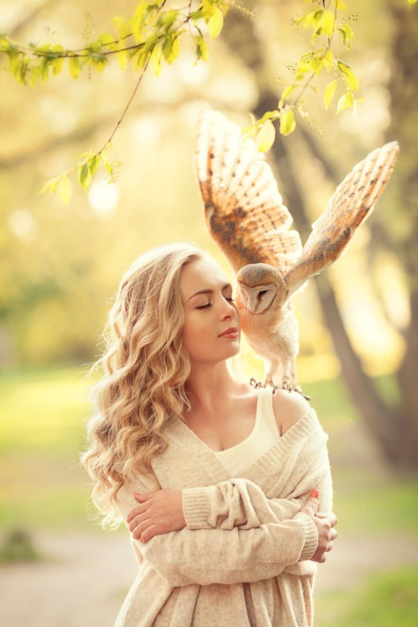 Совы с девушками