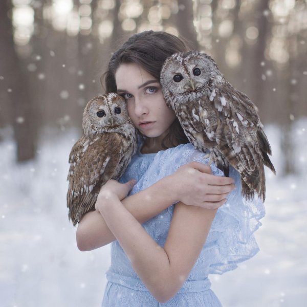 Совы с девушками