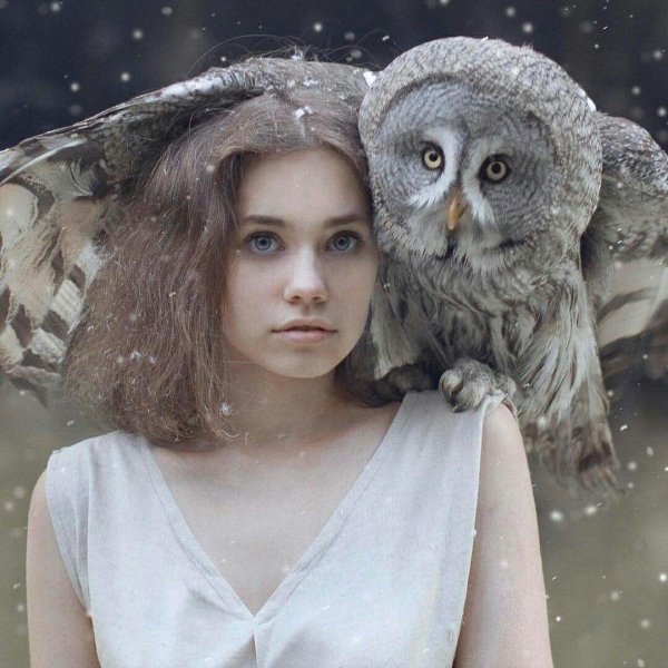Совы с девушками