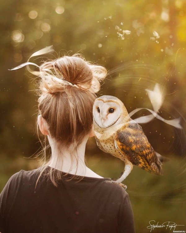 Совы с девушками