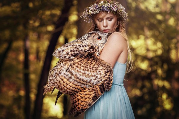 Совы с девушками