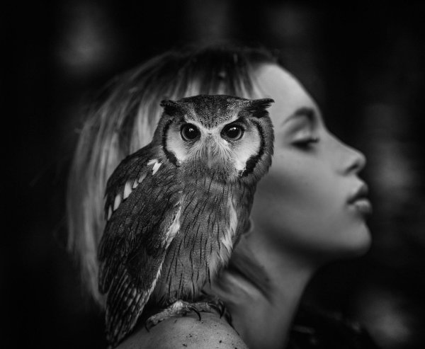 Совы с девушками