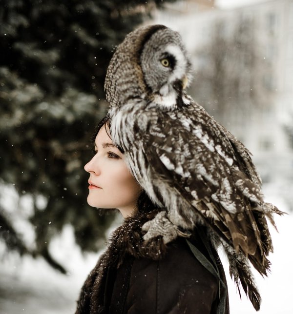 Совы с девушками