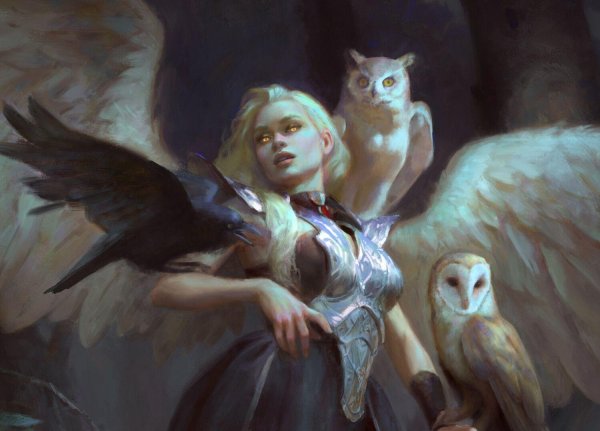 Совы с девушками