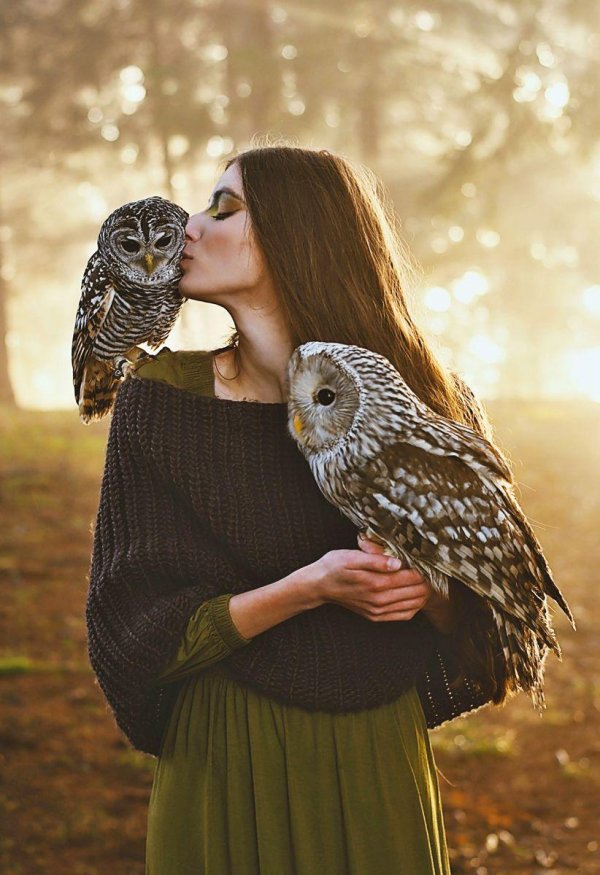Совы с девушками