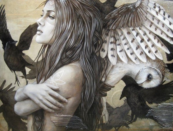 Совы с девушками