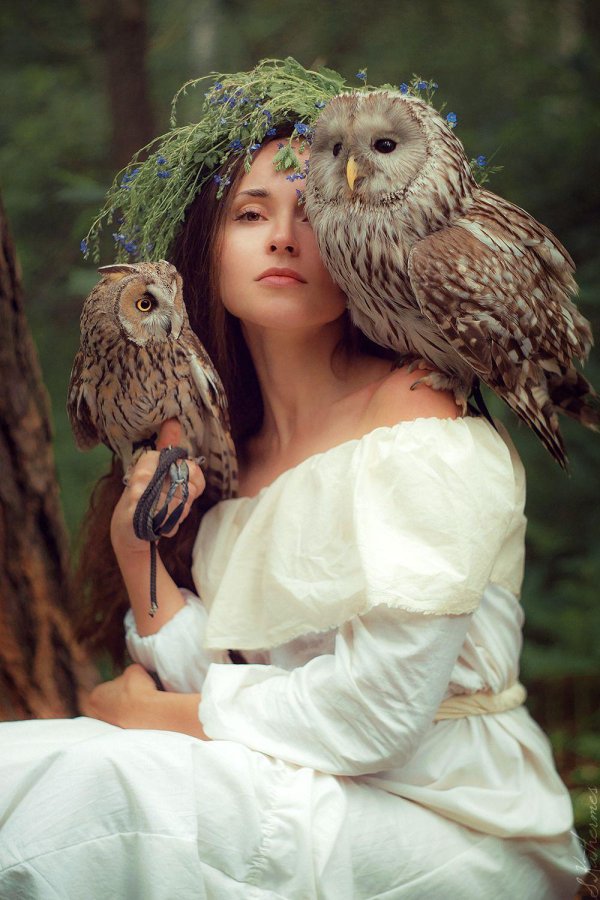 Совы с девушками