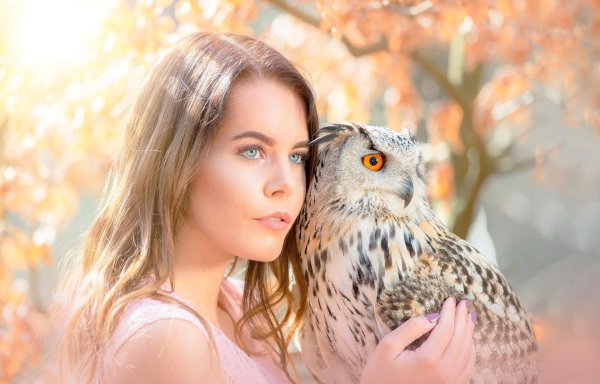 Совы с девушками