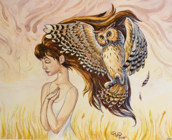Совы с девушками