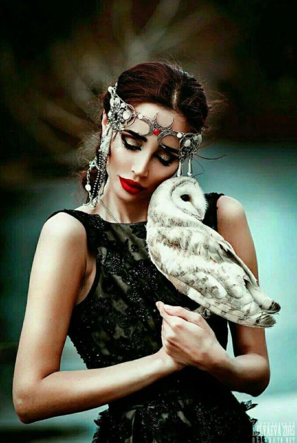 Совы с девушками