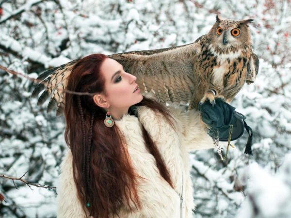 Совы с девушками