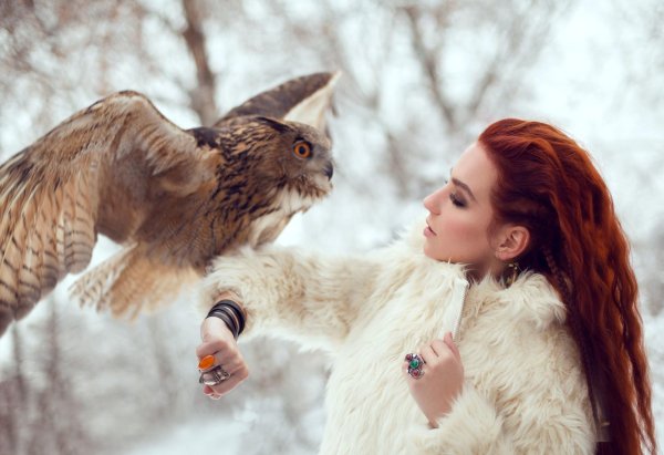 Совы с девушками