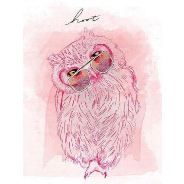 Совы с девушками