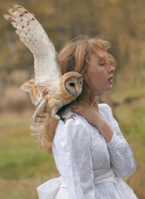 Совы с девушками