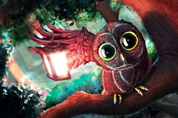 Совы с девушками