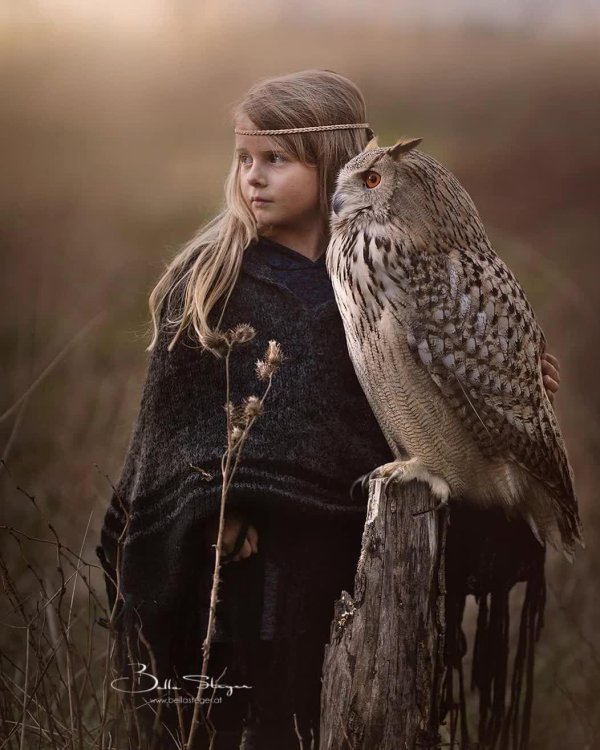 Совы с девушками