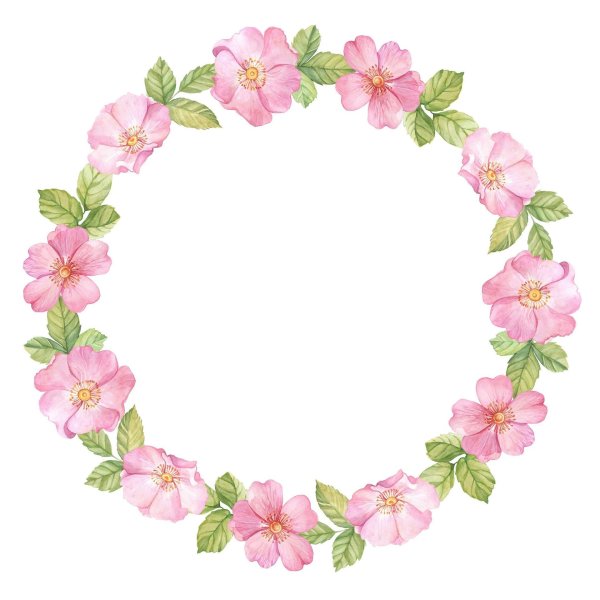 акварельный цветочный венок