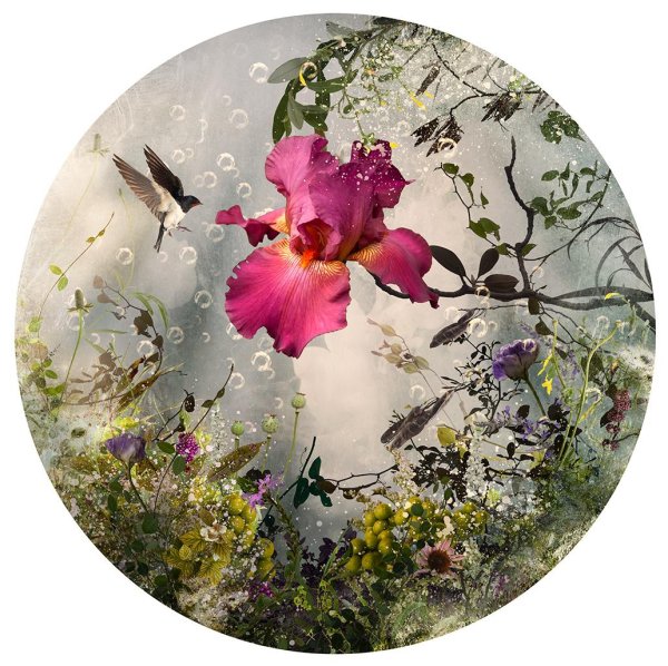 изабель лемэй