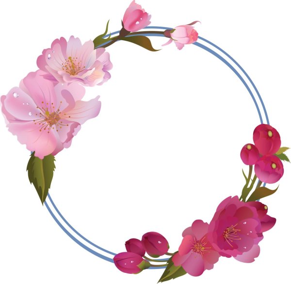 прозрачный фон цветы