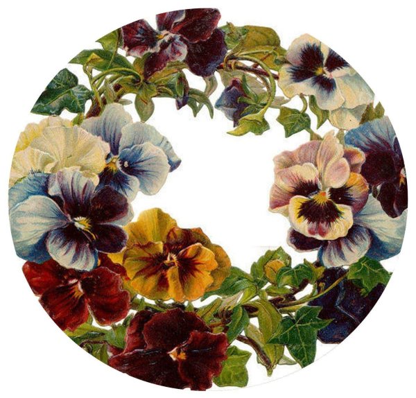 decoupageанютины глазки