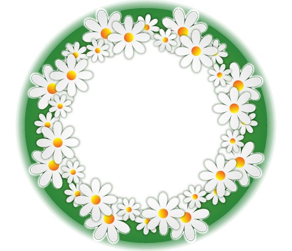 рамка из ромашек