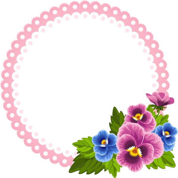 анютины глазки