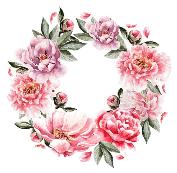 пион акварель