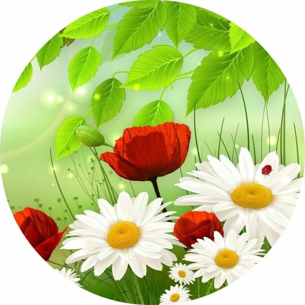 цветок в круге