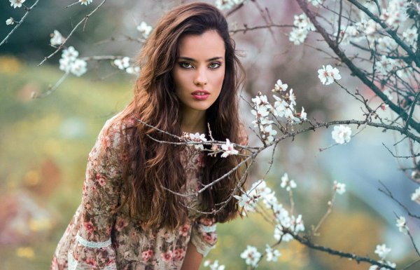 О весне и девушках