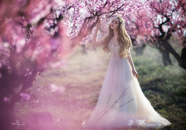 О весне и девушках