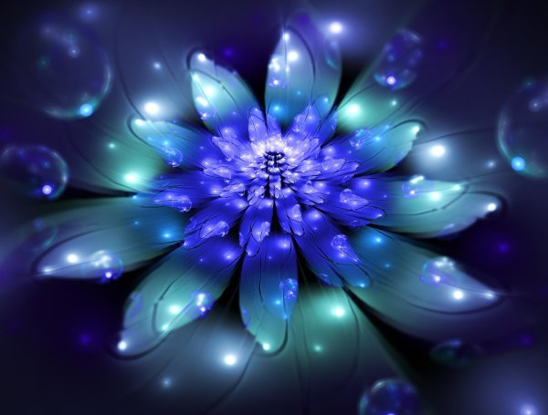 неоновые цветы