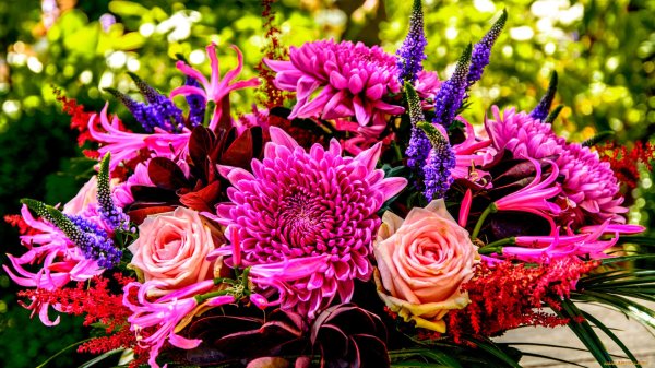 букет цветов шикарный