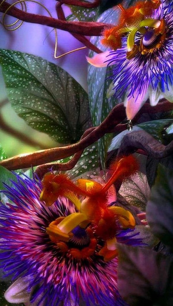 сказочный цветокдианы эловой