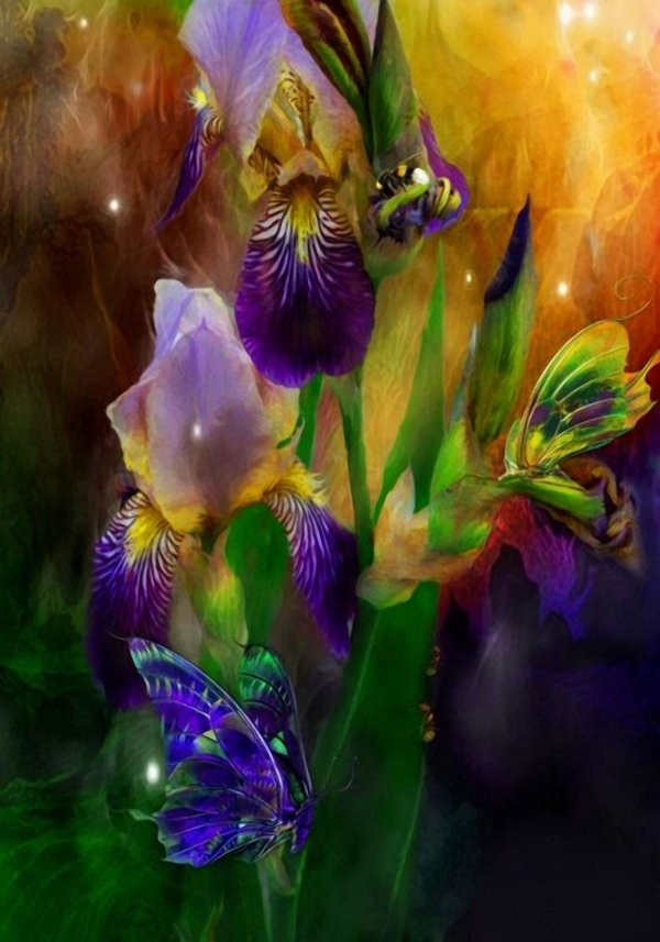 кэрол каваларис