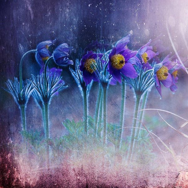 кристин эллджер christine ellger