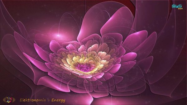 фрактал лотос