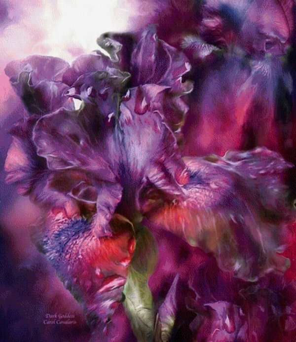 кэрол каваларис