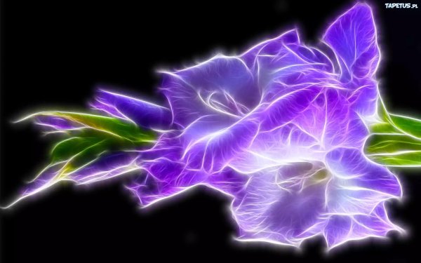 светящиеся цветы