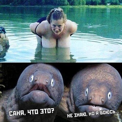 Самые с девушками смешные