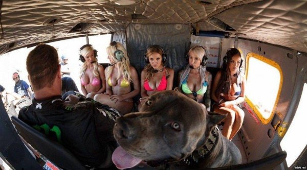 Самые с девушками смешные