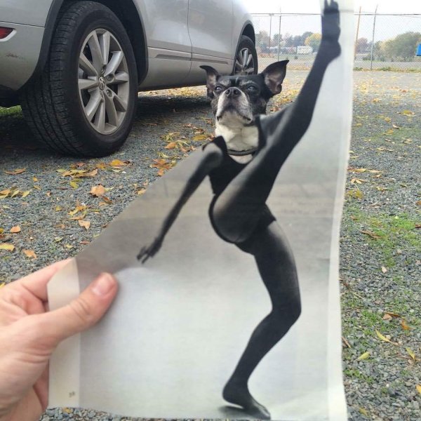 Самые с девушками смешные