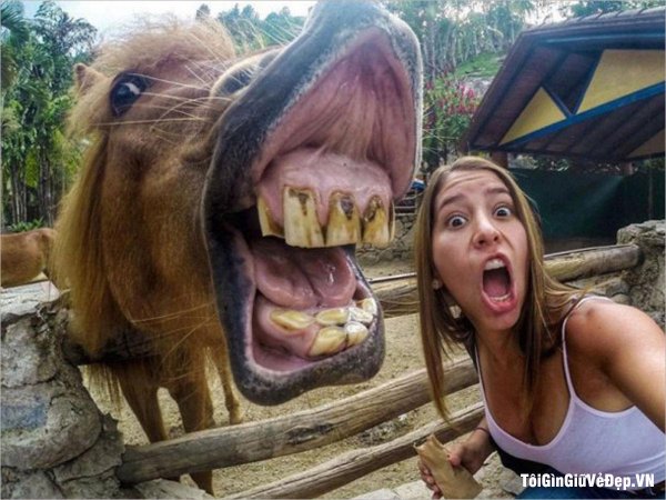 Самые с девушками смешные