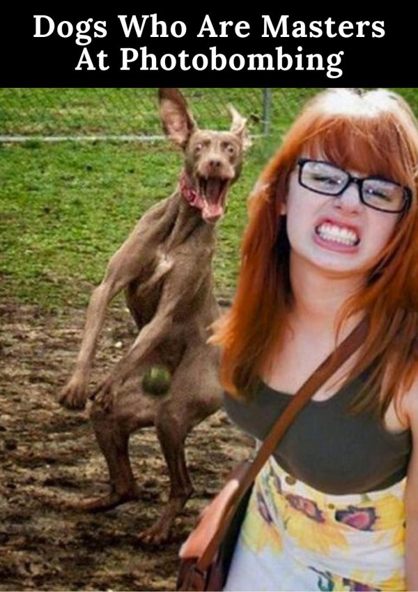 Самые с девушками смешные