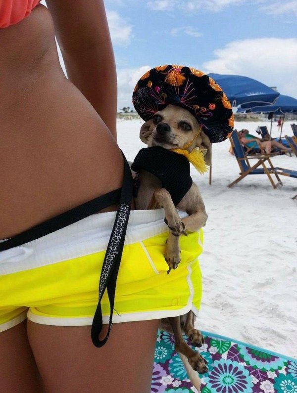 Самые с девушками смешные