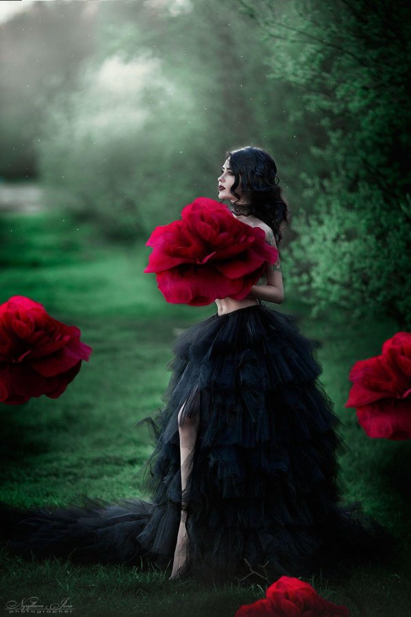 Девушка и красная роза