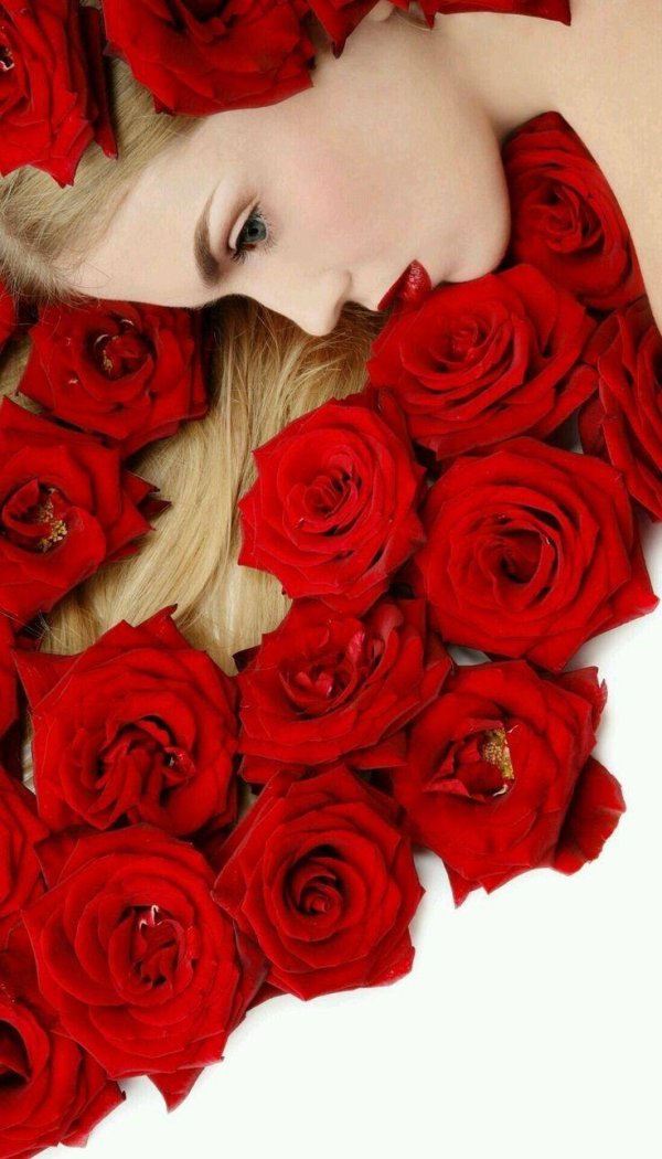 Девушка и красная роза