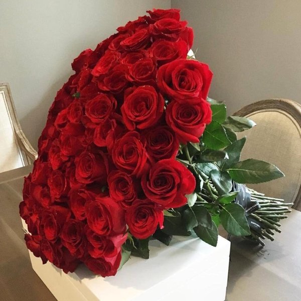 Девушка и красная роза